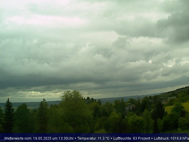 Webcambild