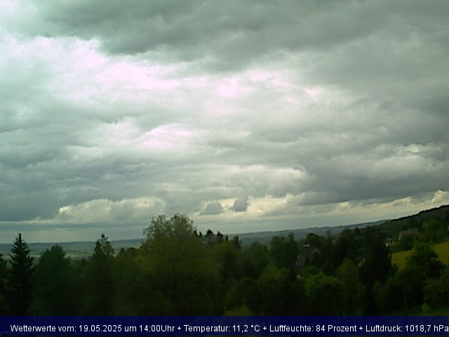 Webcambild