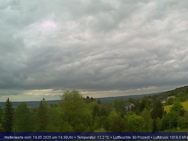 Webcambild