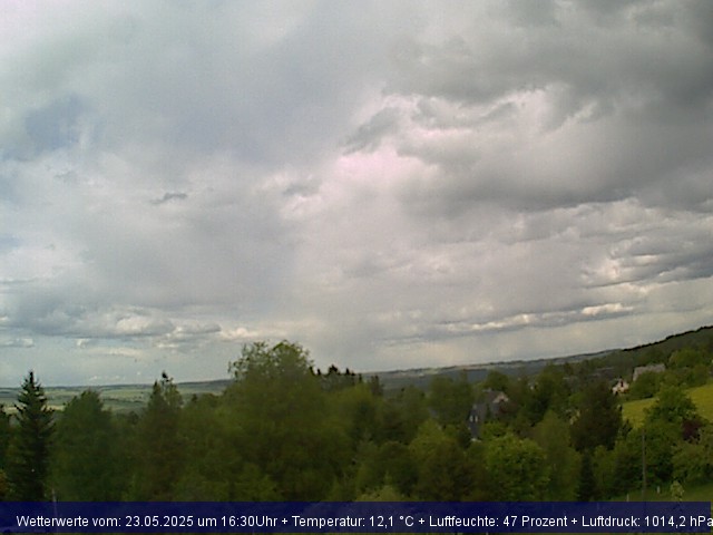 Webcambild