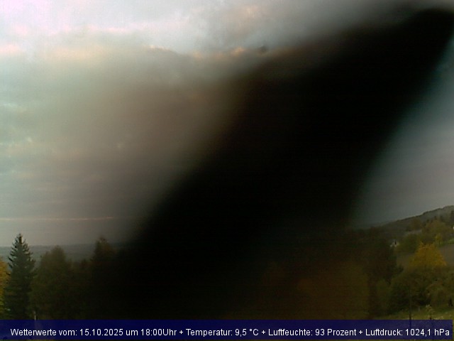 Webcambild