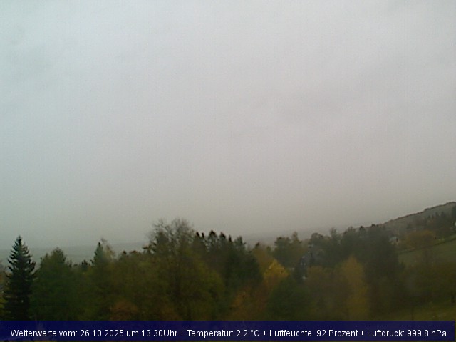 Webcambild