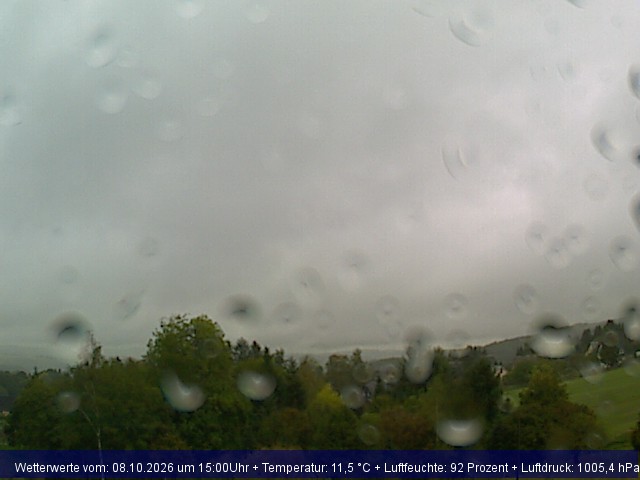 Webcambild