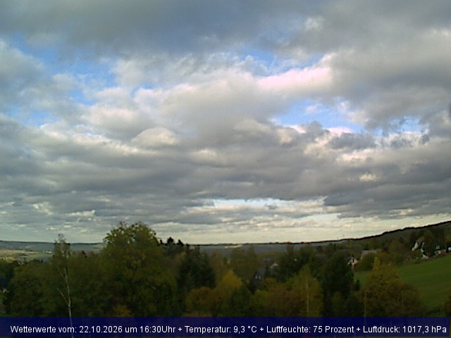 Webcambild